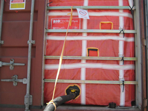 Container flexible tanks